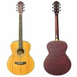  Đàn Guitar Acoustic Fenix FG-100 