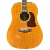  Đàn Guitar Acoustic Aria AW-45N 