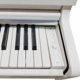  Đàn Piano Điện Apollo DP-66 