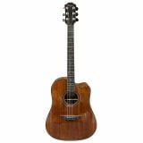  Đàn Guitar Acoustic Skylark MAG-680 