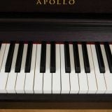  Đàn Piano Điện Apollo DP-260N 