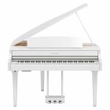  Đàn Piano Điện Tử Yamaha CLP-895G 