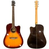  Đàn Guitar Acoustic Tagima EQ 