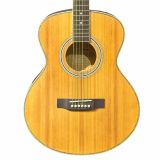  Đàn Guitar Acoustic Fenix FG-100 