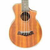 Đàn Ukulele Concert 24 Inch Vanphy 