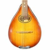  Đàn Mandolin 2 Két Thông Solid 