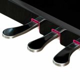  Đàn Piano Điện Apollo KP-88 