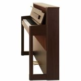  Đàn Piano Điện Apollo A1 