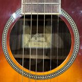  Đàn Guitar Acoustic Tagima EQ 