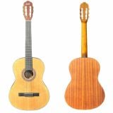  Combo: Guitar Classic Cho Người Mới Bắt Đầu 