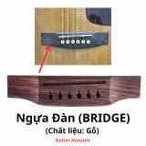  Phụ Kiện Đàn Guitar Acoustic 