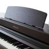  Đàn Piano Điện Apollo DP-260N 