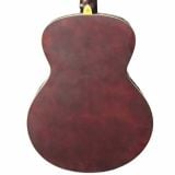  Đàn Guitar Acoustic Fenix FG-100 
