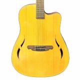  Guitar Acoustic SQOE SQ-IS 