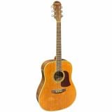  Đàn Guitar Acoustic Aria AW-45N 