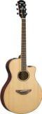  Đàn Guitar Acoustic Yamaha APX600 