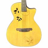  Guitar Acoustic SQOE SQ-IS 