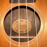  Đàn Ukulele Tenor 26 Inch David UK-26 