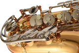  Kèn Alto Saxophone Yamaha YAS-22 