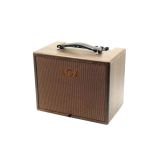  Amplifier Guitar Acoustic 100W AGA SC-100 