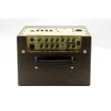  Amplifier Guitar Acoustic 100W AGA SC-100 