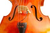  Pickup KNA DB-1 Cho Double Bass 