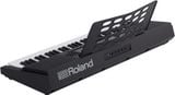  Đàn organ Roland E-X20 