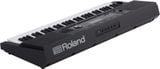  Đàn organ Roland E-X20 