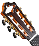  Đàn Guitar Classic Famosa FC100 Series 