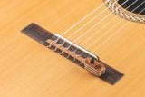 Pickup Đàn Guitar Classic KNA NG-2 