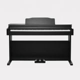  Đàn Piano Điện Apollo DP-66 