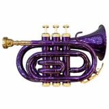  Kèn Pocket Trumpet 