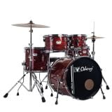  Bộ Trống Cơ Odery IR-220 
