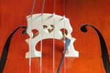  Pickup KNA VC-1 Cho Cello 