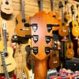  Đàn Guitar Acoustic Weril WRG-20DC 