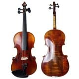  Đàn Violin Cỡ Tiêu Chuẩn 4/4 D3900 