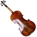  Đàn Violin Cỡ Tiêu Chuẩn 4/4 D3900 