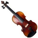  Đàn Violin Cỡ Tiêu Chuẩn 4/4 D3900 