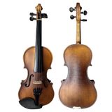  Đàn Violin 1/16 HM-16V 