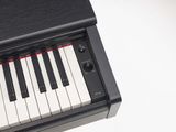  Đàn Piano Điện Tử Yamaha YDP-105 