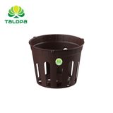  Chậu lan sọc (không dây) 