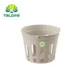  Chậu lan sọc (không dây) 