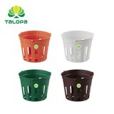  Chậu lan sọc (không dây) 