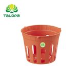  Chậu lan sọc (không dây) 