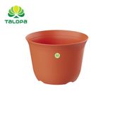  Thân chậu tròn vành 