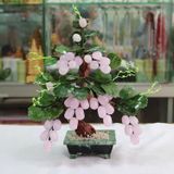  Cây Nho ngọc BK-ST001500VN-3942 