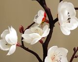  Bình hoa mận trang trí Chất liệu gốm + composite + khung gỗ 