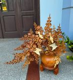  Bình hoa mai đổ Gỗ hương KT: 70-68-29 