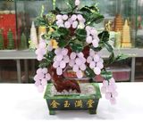  Cây Nho ngọc BK-ST001500VN-3942 