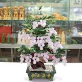  Cây Nho ngọc BK-ST001500VN-3942 